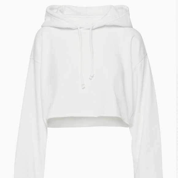 Aritzia Sweaters - Aritzia Cozy Fleece Cropped Hoodie